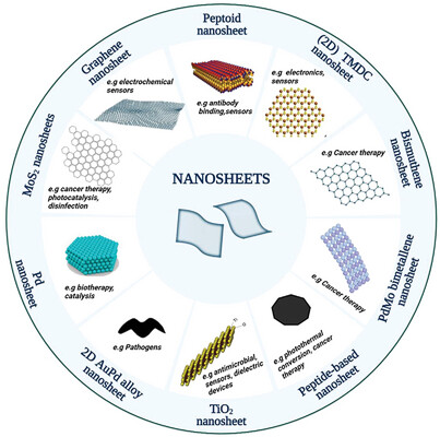 Uprising Unconventional Nanobiomaterials: Peptoid Nanosheets as a Multi-Modular Platform for Advanced Biological Studies