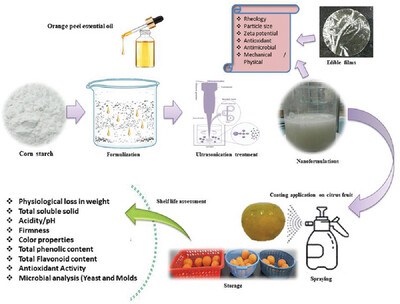Effects of Essential Oils and Ultrasonic Treatments on Properties of Edible Coatings and Their Application on Citrus Fruits