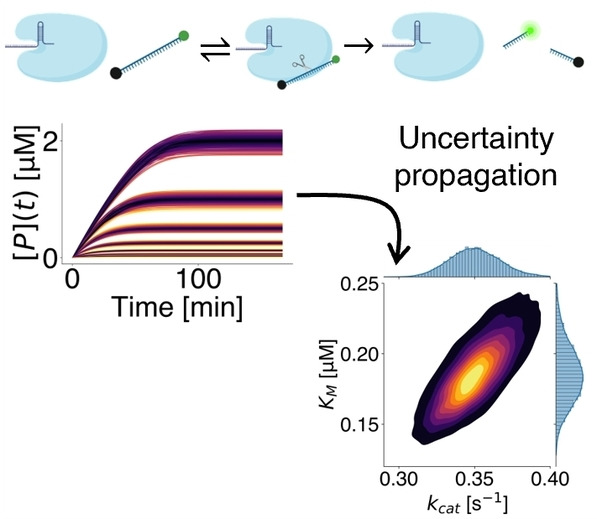 Uncertainty Quantification of Michaelis–Menten Kinetic Rates and Its Application to the Analysis of CRISPR-Based Diagnostics