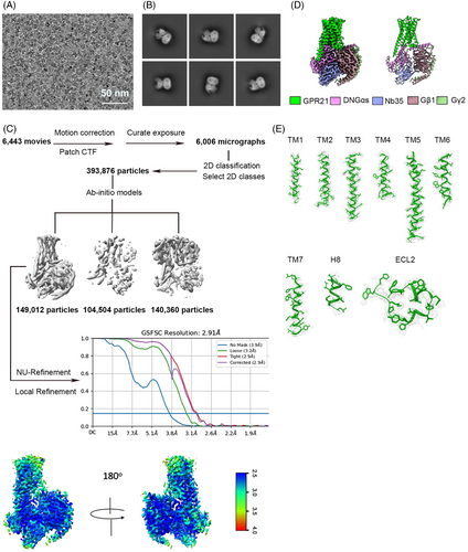 Details are in the caption following the image Details are in the caption following the image