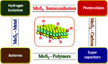 Molybdenum Disulphide Heterointerfaces as Potential Materials for Solar Cells, Energy Storage, and Hydrogen Evolution