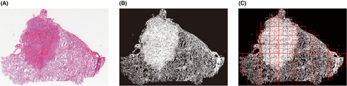 Details are in the caption following the image Details are in the caption following the image