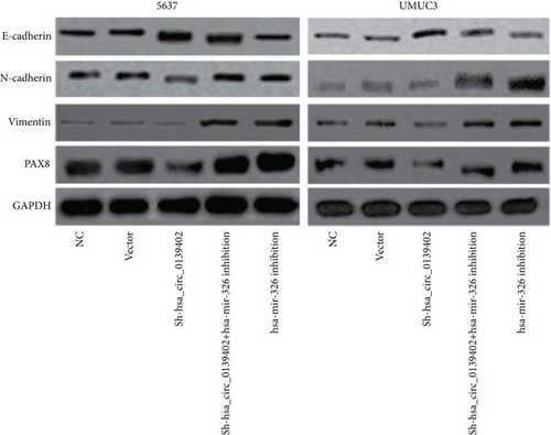 Details are in the caption following the image