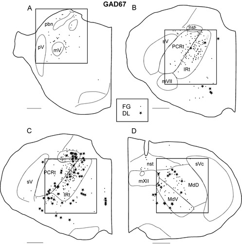 Details are in the caption following the image