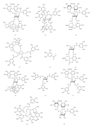 Details are in the caption following the image