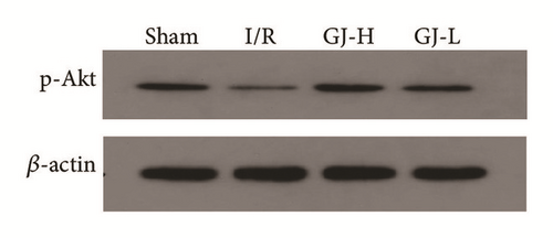 Details are in the caption following the image