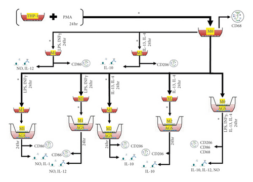 Details are in the caption following the image Details are in the caption following the image