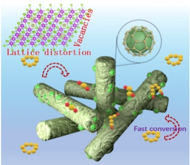 Anionic Doping in Layered Transition Metal Chalcogenides for Robust Lithium-Sulfur Batteries