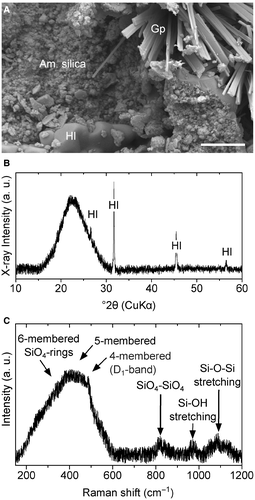 Details are in the caption following the image Details are in the caption following the image