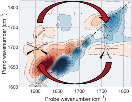 Spin Changes Accompany Ultrafast Structural Interconversion in the Ground State of a Cobalt Nitrosyl Complex