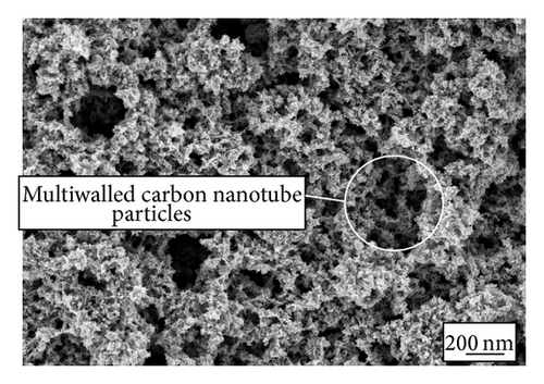 Details are in the caption following the image