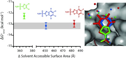 The Binding of Benzoarylsulfonamide Ligands to Human Carbonic Anhydrase is Insensitive to Formal Fluorination of the Ligand