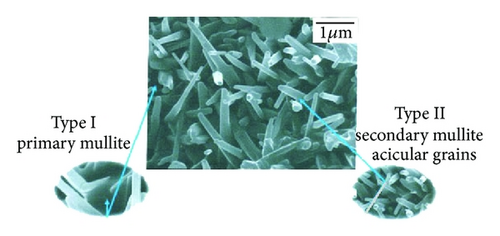Details are in the caption following the image