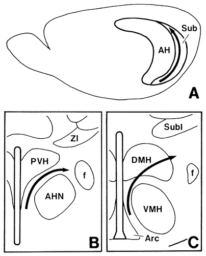 Details are in the caption following the image