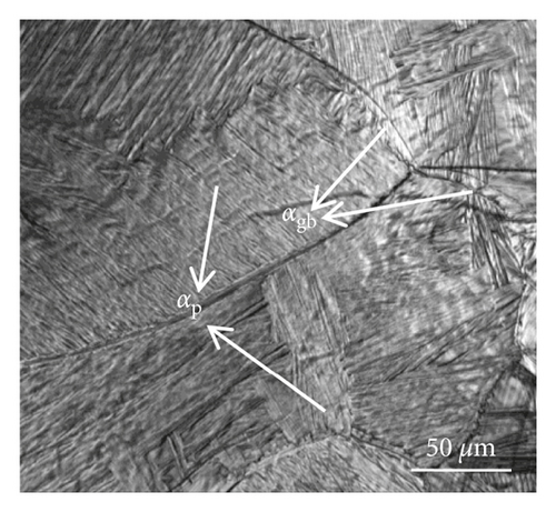 Details are in the caption following the image