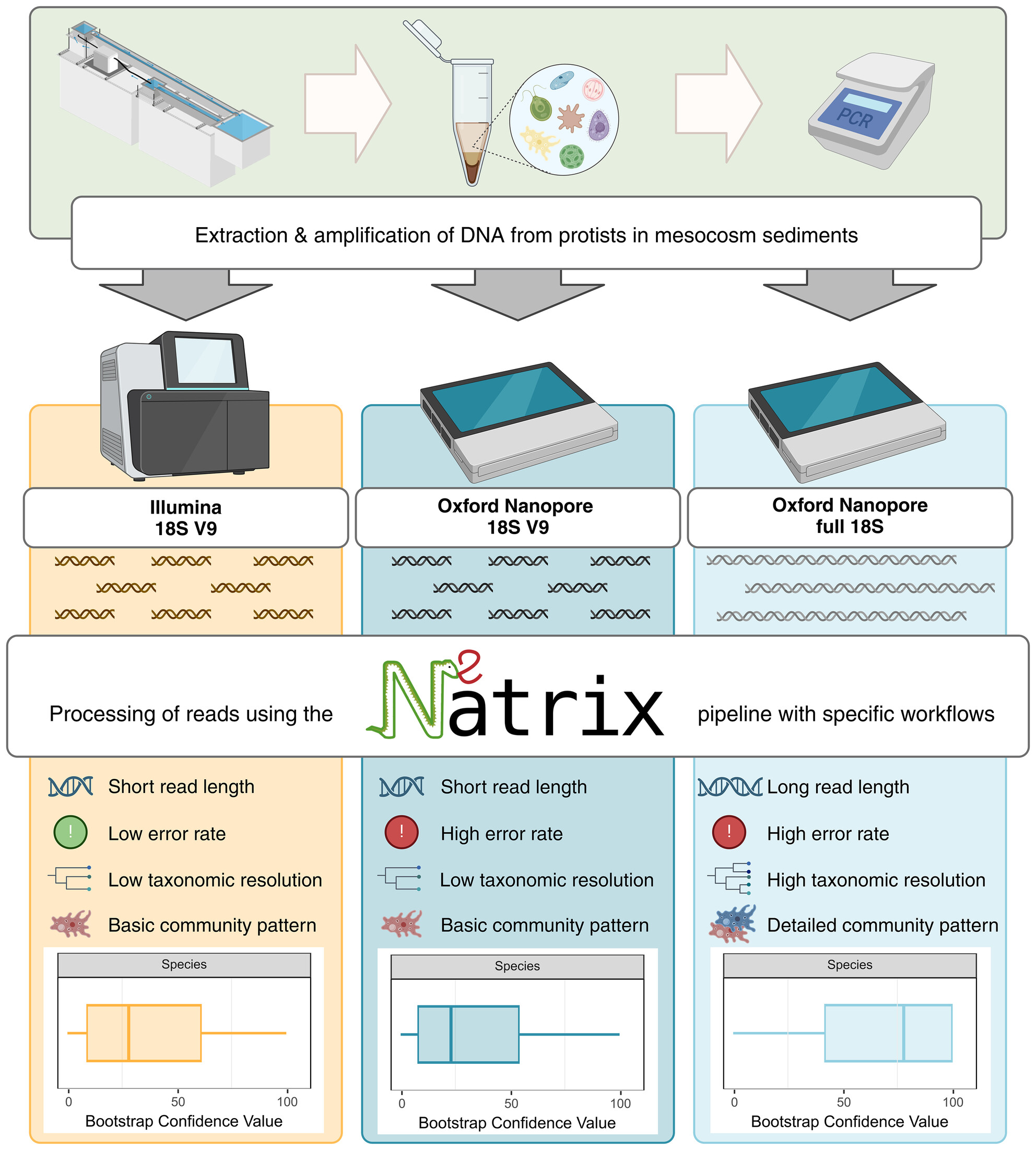 Breaking the Standard: Can Oxford Nanopore Technologies Sequencing Compete With Illumina in Protistan Amplicon Studies?