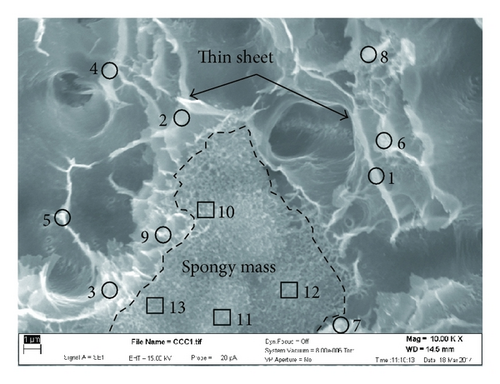 Details are in the caption following the image