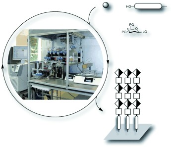 Automated Solid-Phase Synthesis of Chondroitin Sulfate Glycosaminoglycans