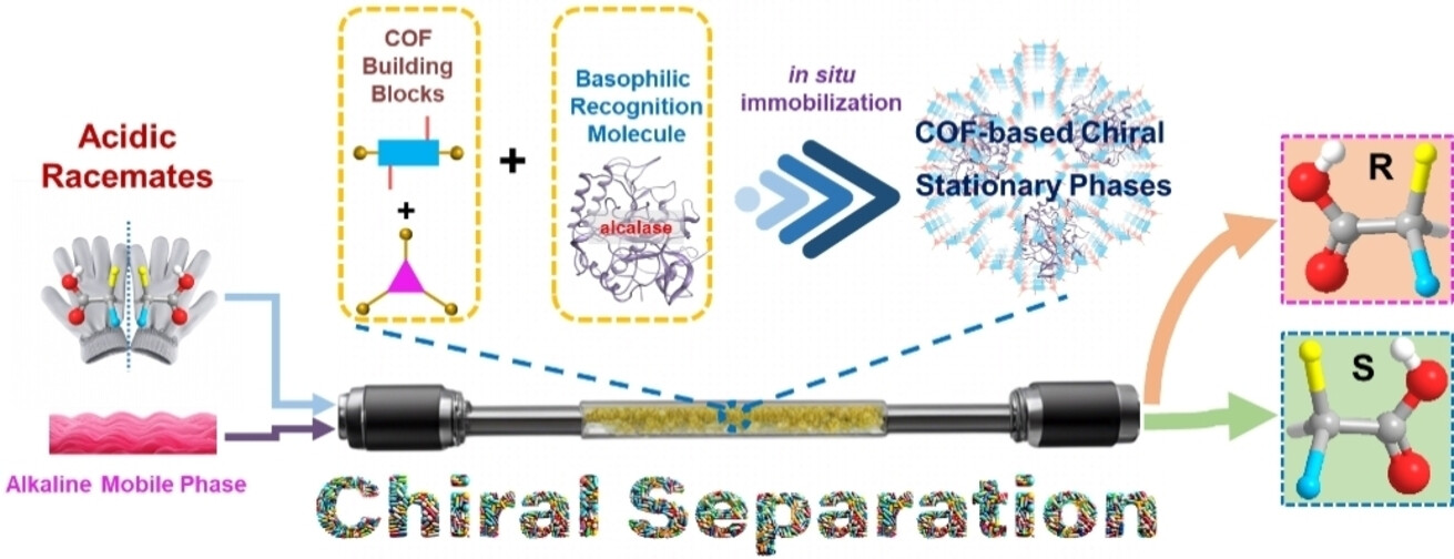 Highly Efficient Chiral Separation Based on Alkali-proof Protein Immobilization by Covalent Organic Frameworks