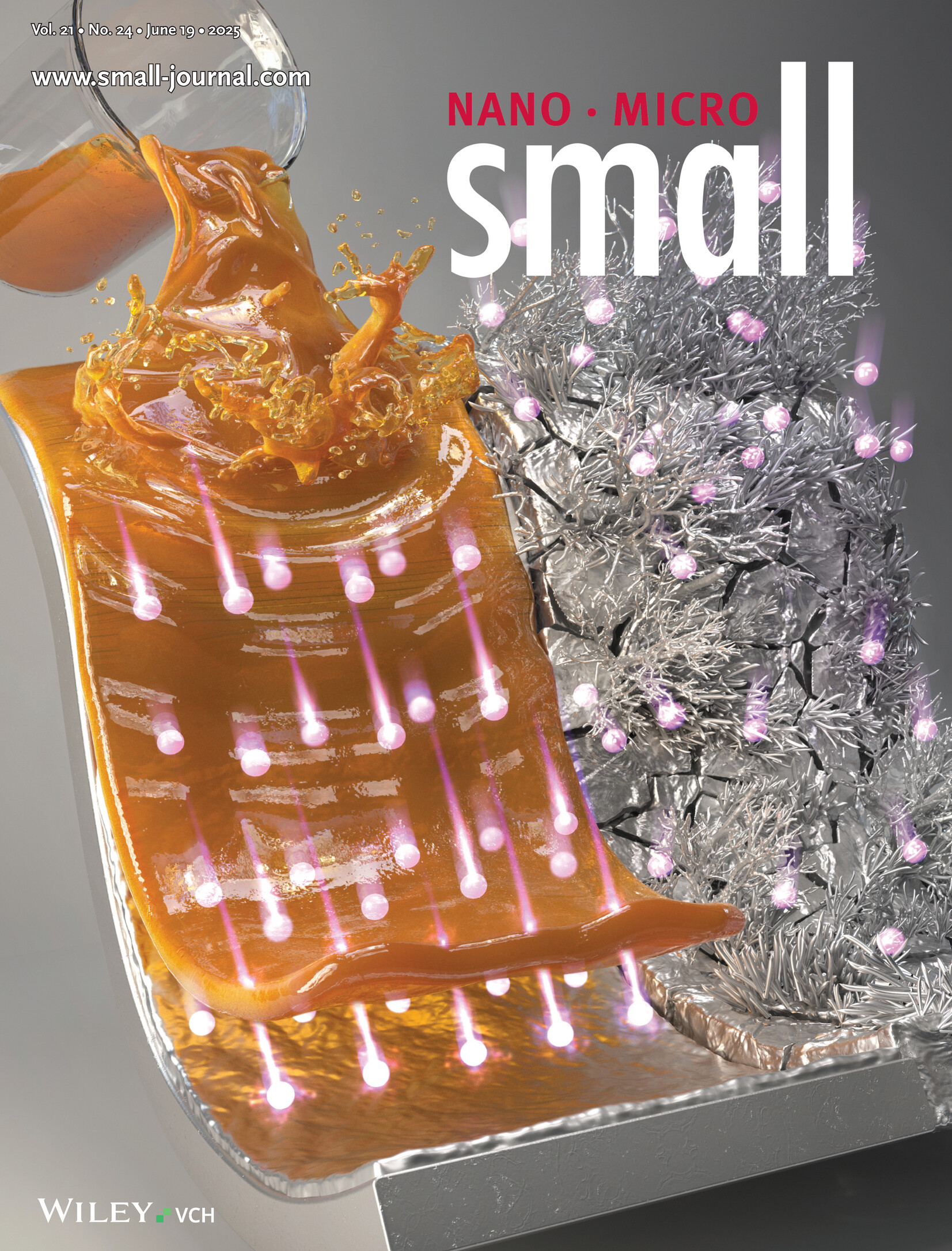 Molecularly Engineered Artificial Solid Electrolyte Interphase with Tailored Lithiophilicity and Solvent-Phobicity for Stable Lithium Metal Batteries (Small 24/2025) Volume 21 Issue 24, 2025