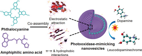 Photooxidase-Mimicking Nanovesicles with Superior Photocatalytic Activity and Stability Based on Amphiphilic Amino Acid and Phthalocyanine Co-Assembly