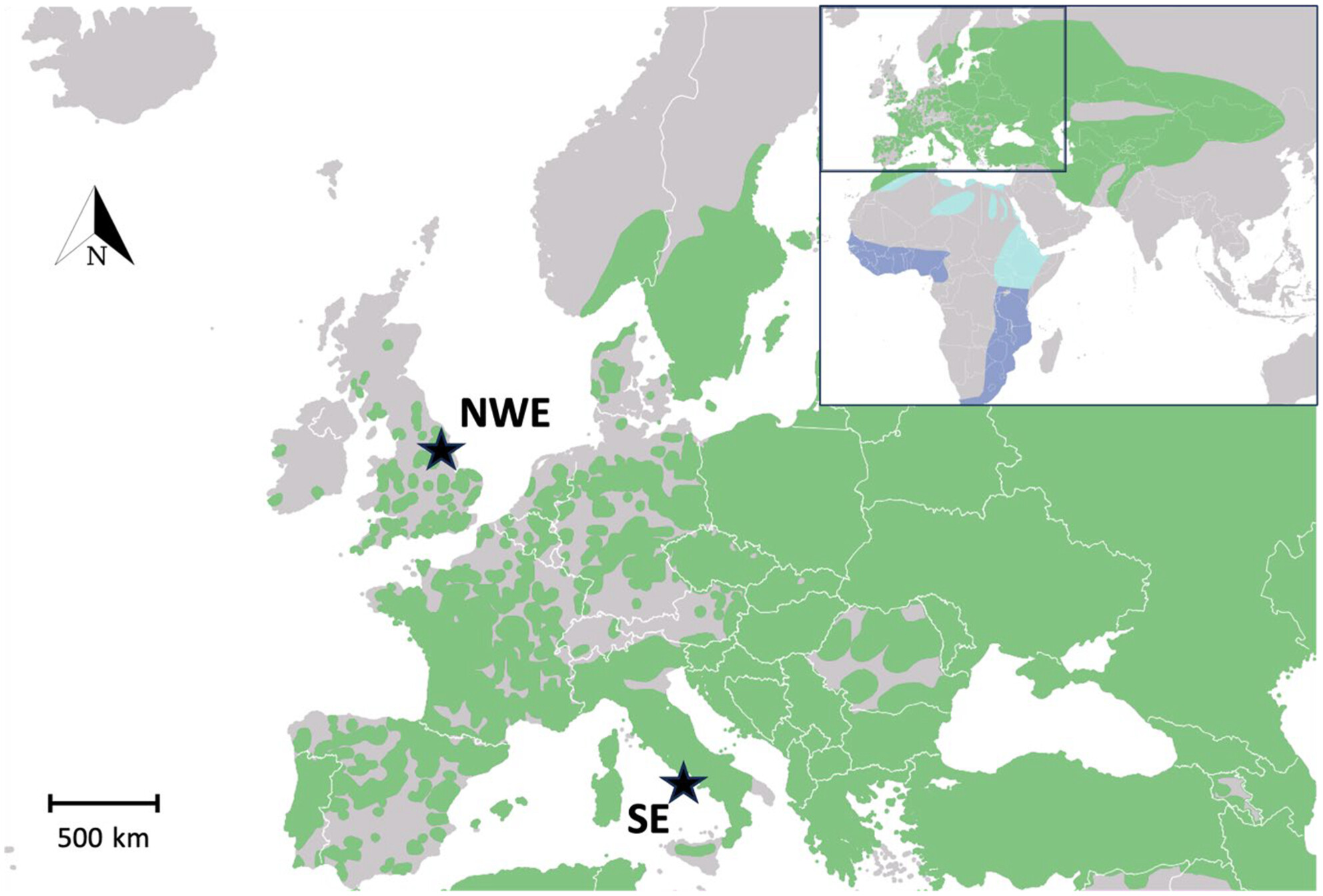 Revealing the Demographic History of the European Nightjar (Caprimulgus europaeus)