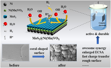 Fabrication of Coral-Shaped MoS2@Ni(Mn)VO
X
Electrocatalyst for Efficient Alkaline Hydrogen Evolution