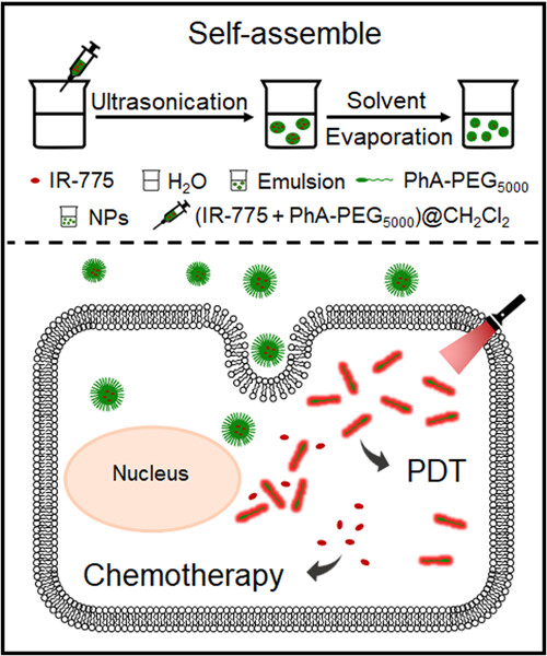 Amphiphilic photosensitizer polymer as a nanocarrier of cytotoxic molecule for carrier-free combination therapy