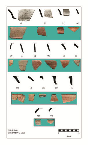 Details are in the caption following the image Details are in the caption following the image