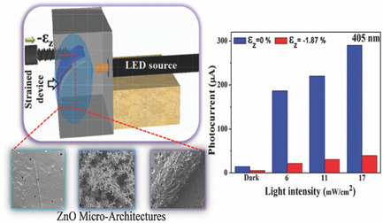 Regulation of Charge Carrier Dynamics in ZnO Microarchitecture-Based UV/Visible Photodetector via Photonic-Strain Induced Effects