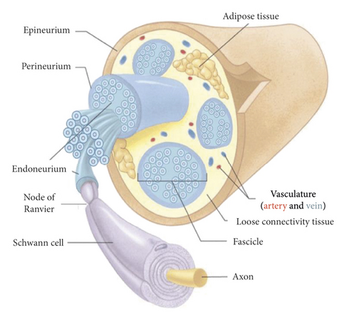 Details are in the caption following the image