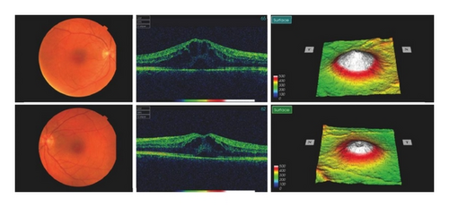 Details are in the caption following the image Details are in the caption following the image