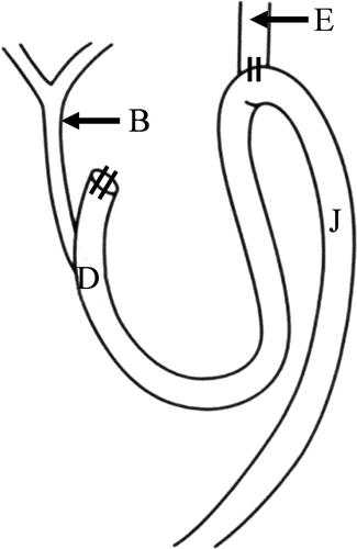 Details are in the caption following the image