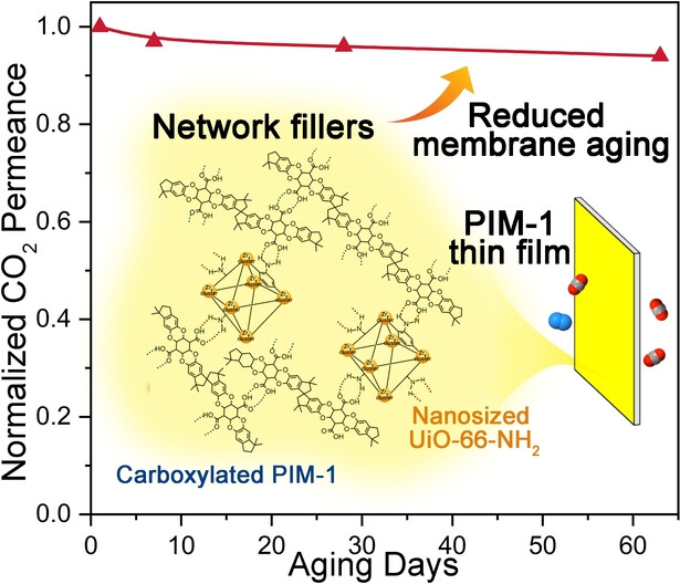 High Gas Permeability in Aged Superglassy Membranes with Nanosized UiO-66−NH2/cPIM-1 Network Fillers