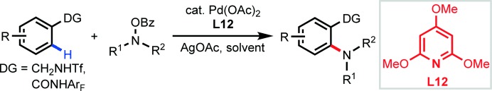 Ligand-Promoted ortho-C<span class='icomoon'></span>H Amination with Pd Catalysts