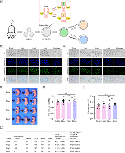 Details are in the caption following the image Details are in the caption following the image