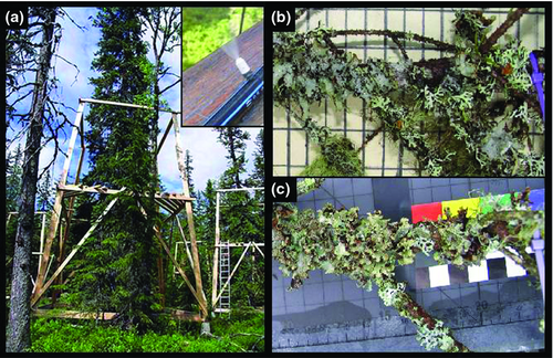 Details are in the caption following the image Details are in the caption following the image