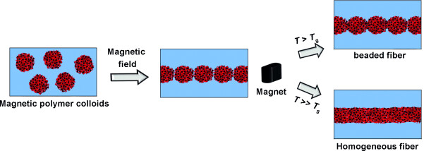 Well-Defined Nanofibers with Tunable Morphology from Spherical Colloidal Building Blocks