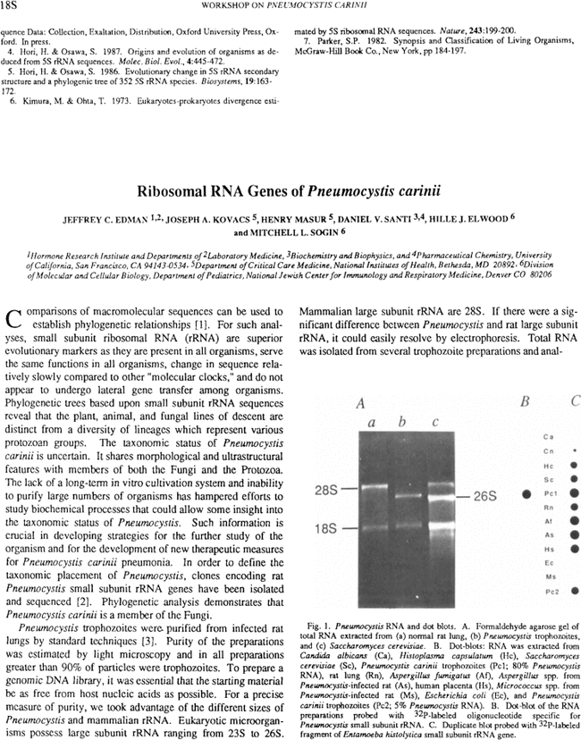 First page image