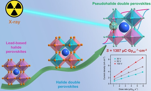 Exploring Aqueous Solution-Processed Pseudohalide Rare-Earth Double Perovskite Ferroelectrics toward X-Ray Detection with High Sensitivity