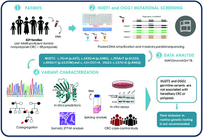 Germline variation in the oxidative DNA repair genes NUDT1 and OGG1 is not associated with hereditary colorectal cancer or polyposis