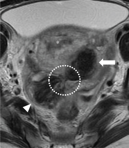 Details are in the caption following the image Details are in the caption following the image