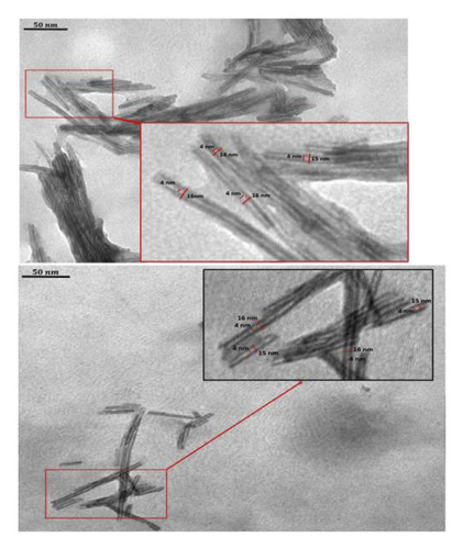 Details are in the caption following the image