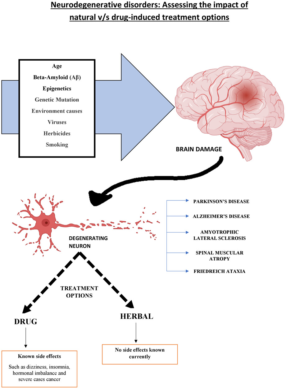 Neurodegenerative disorders: Assessing the impact of natural vs drug-induced treatment options