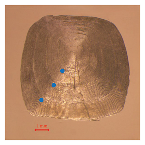 Details are in the caption following the image