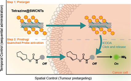 Tetrazine Carbon Nanotubes for Pretargeted In Vivo “Click-to-Release” Bioorthogonal Tumour Imaging
