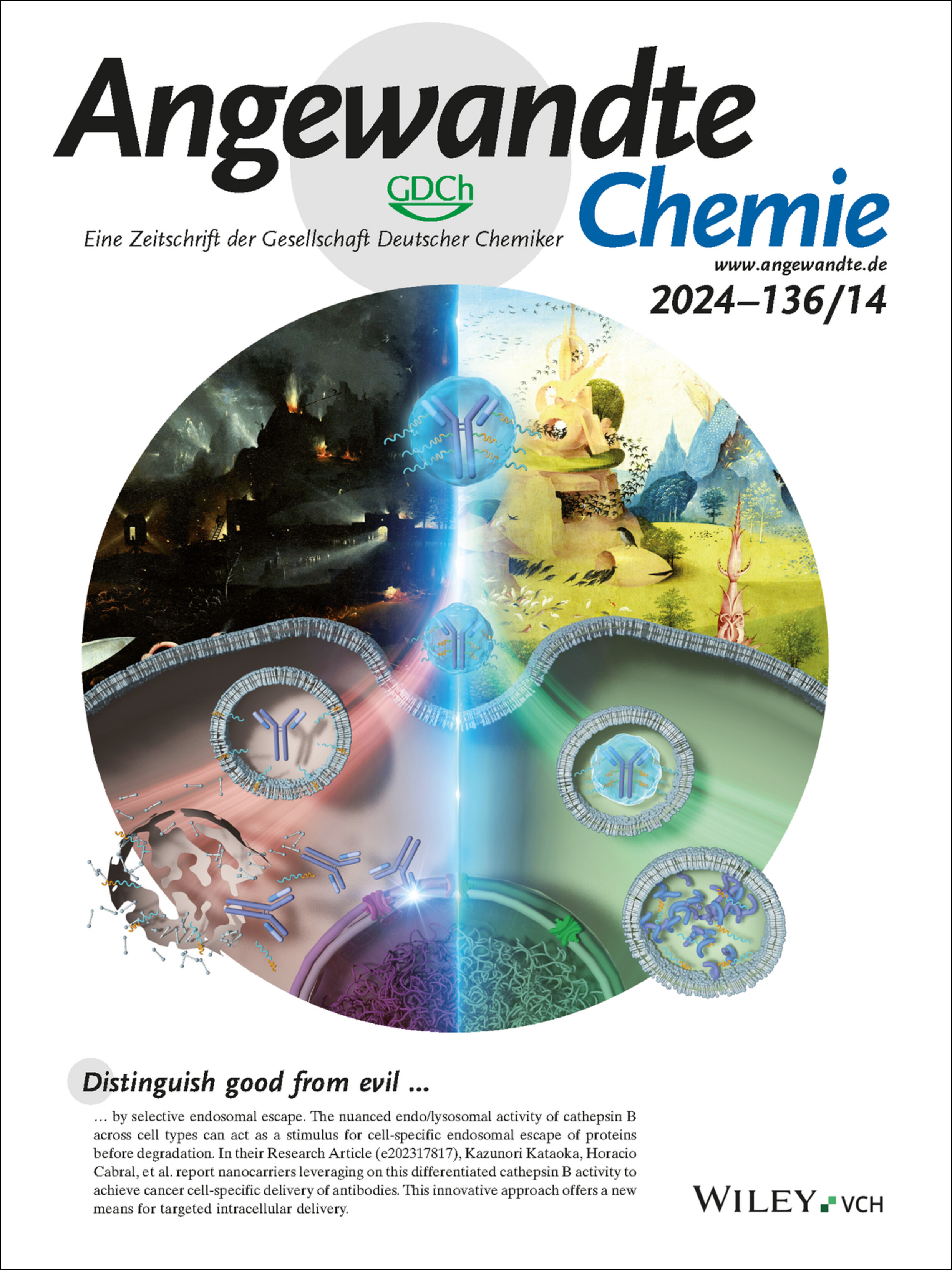 Innentitelbild: Selective Intracellular Delivery of Antibodies in Cancer Cells with Nanocarriers Sensing Endo/Lysosomal Enzymatic Activity (Angew. Chem. 14/2024) Volume 136 Issue 14, 2024