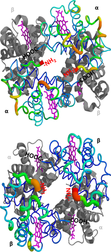 Details are in the caption following the image