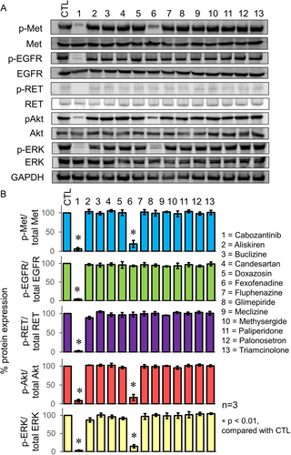 Details are in the caption following the image
