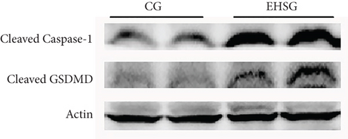 Details are in the caption following the image
